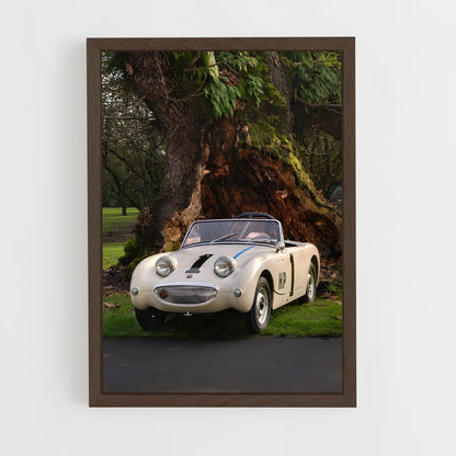 ap-healey-2 cadre Bois foncé