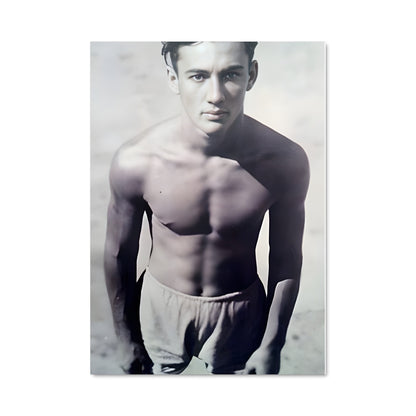 Poster Helio gracie 61009