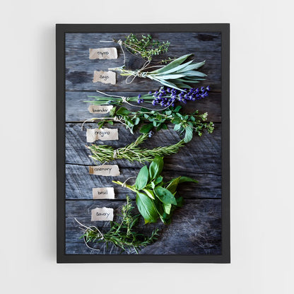 ap-herbs de provence-3 cadre Noir