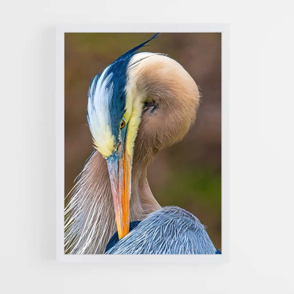 ap-heron-3 cadre Blanc