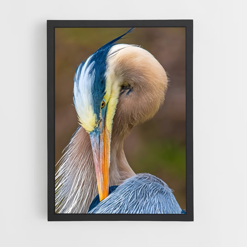 ap-heron-3 cadre Noir