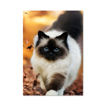 Poster Regard d'Azur
