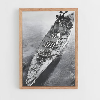 ap-hms prince of wales-2 cadre Bois clair