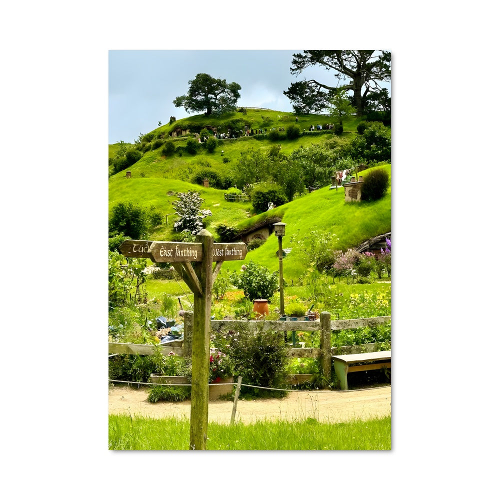 Poster Le Chemin du Jardin