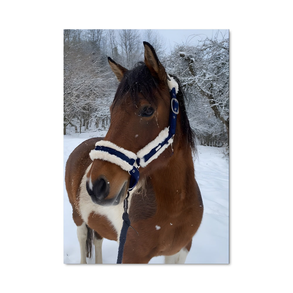 Poster Équilibre Hivernal