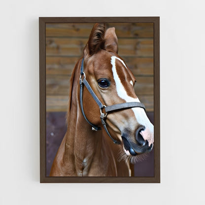 ap-horse-14 cadre Bois foncé