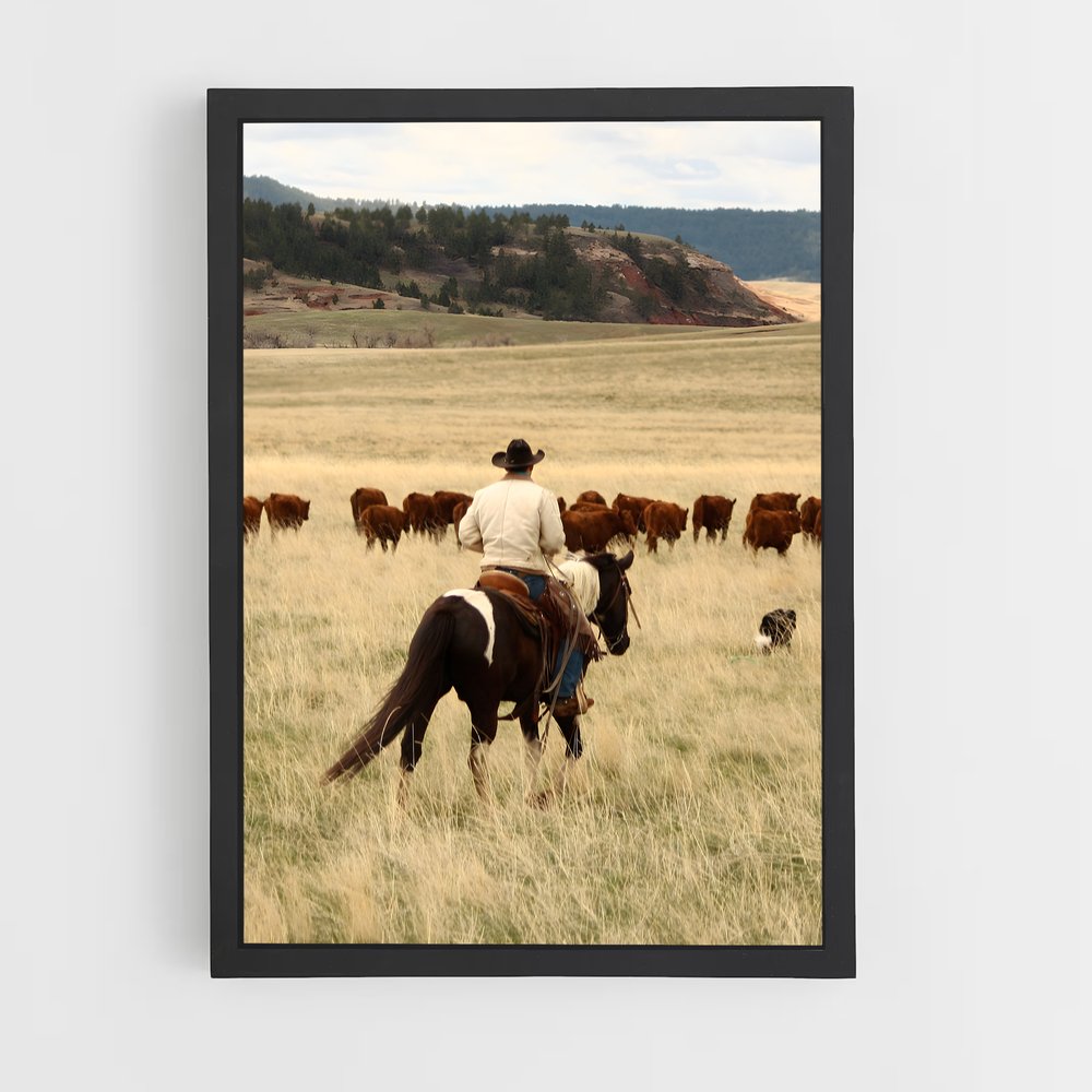 ap-horse-9 cadre Noir