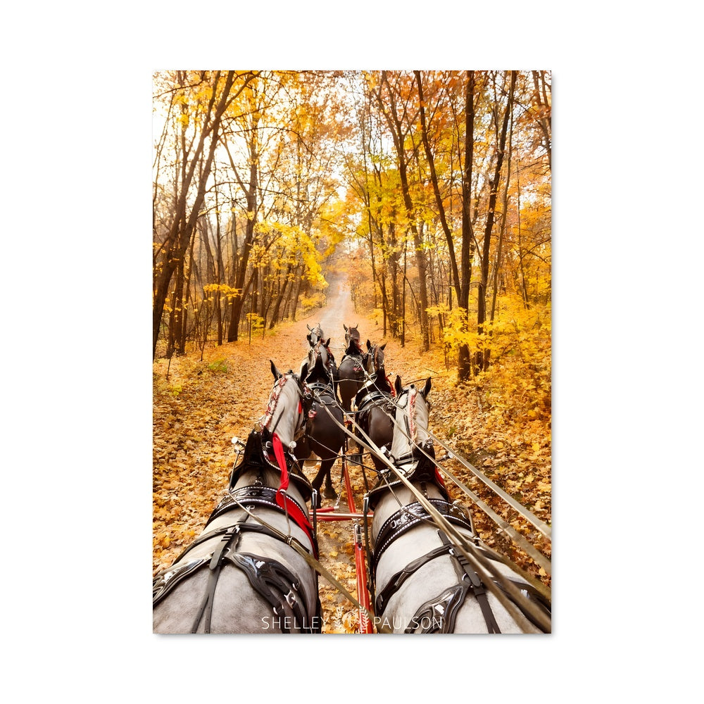 Poster Horse carriage 81771