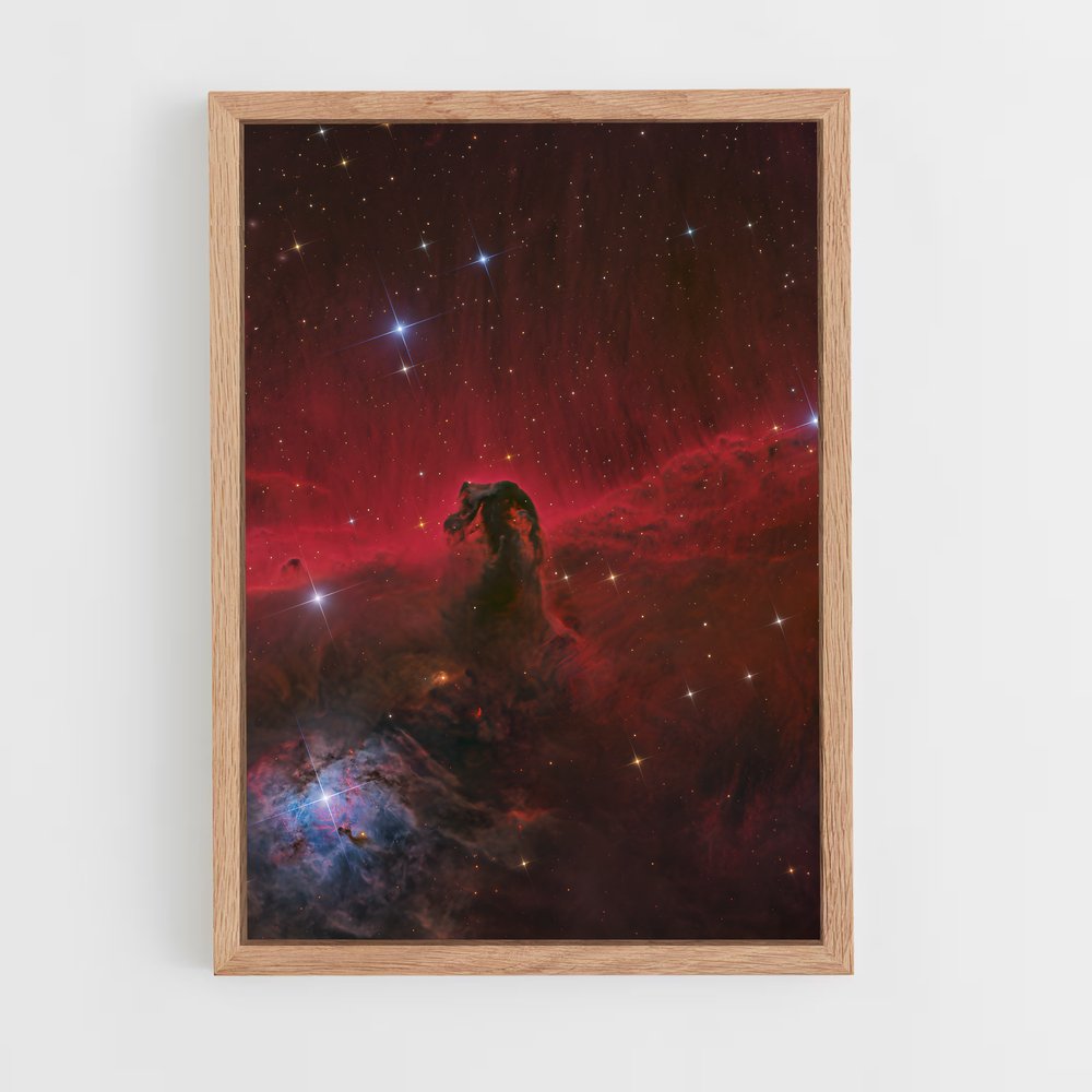 ap-horsehead nebula-1 cadre Bois clair