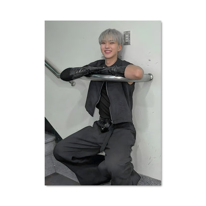 Poster Hoshi 49307