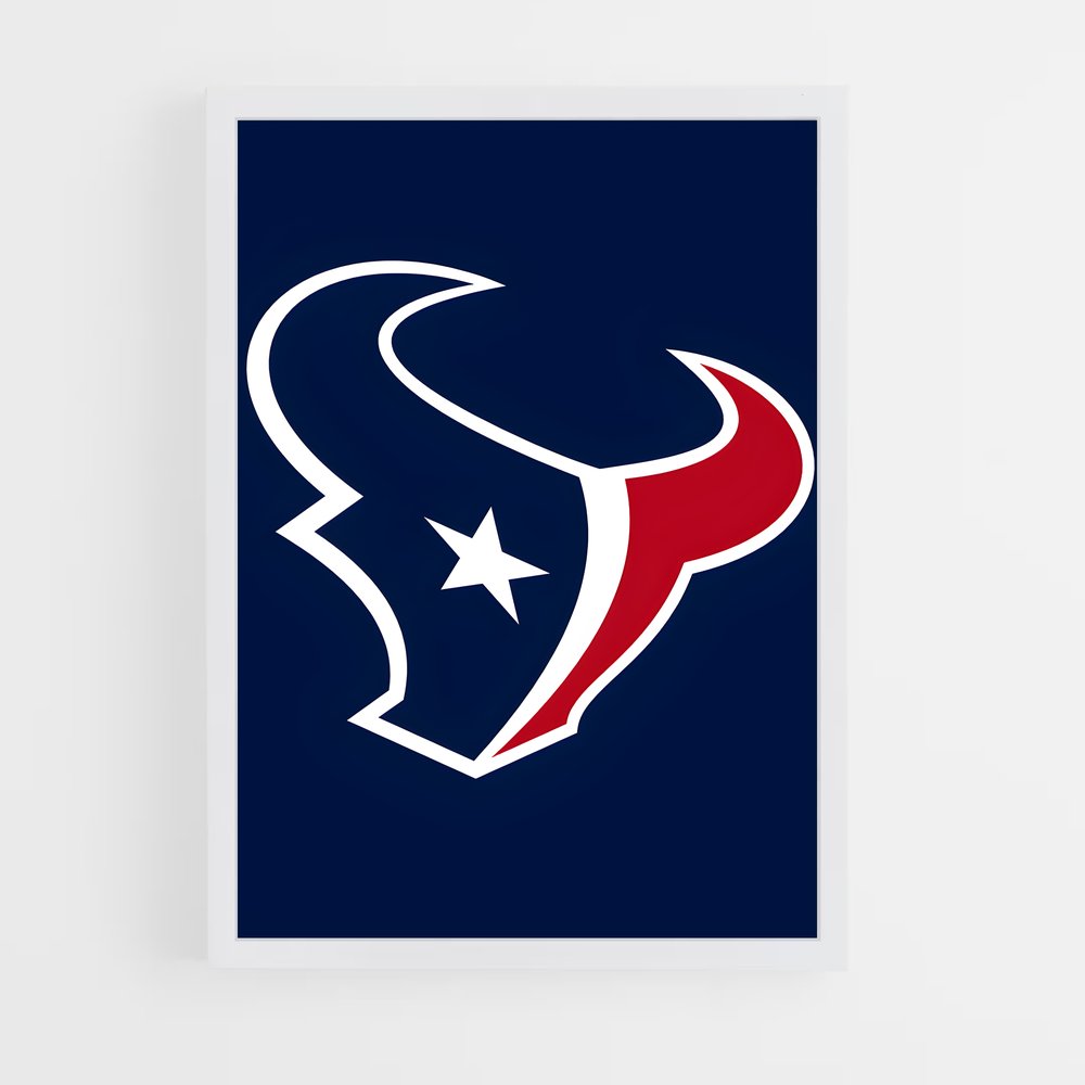 ap-houston texans-1 cadre Blanc