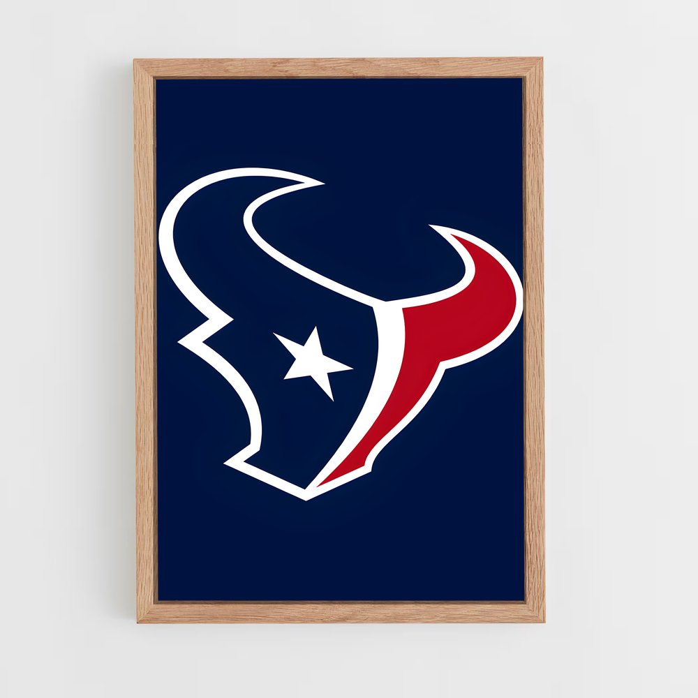 ap-houston texans-1 cadre Bois clair