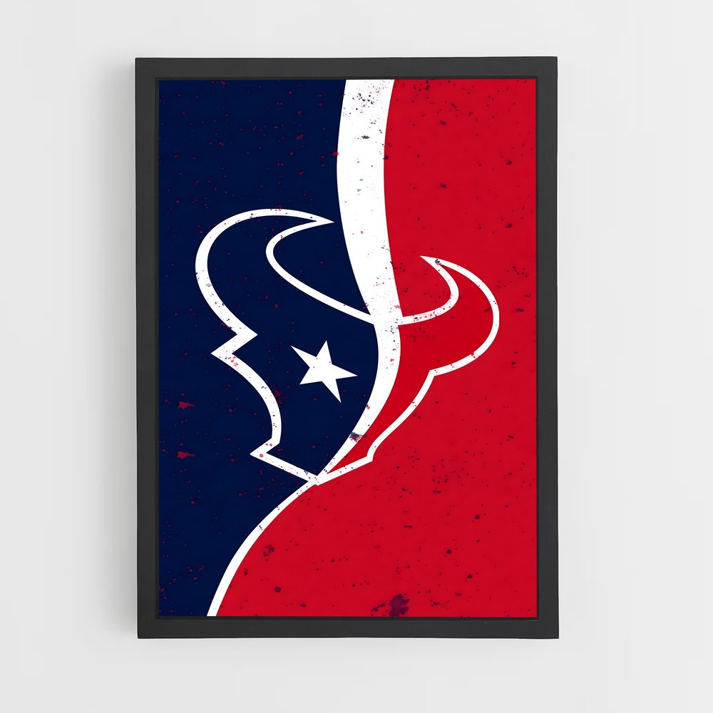 ap-houston texans-2 cadre Noir