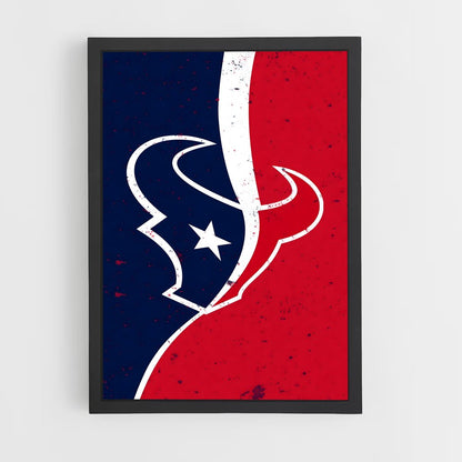 ap-houston texans-2 cadre Noir