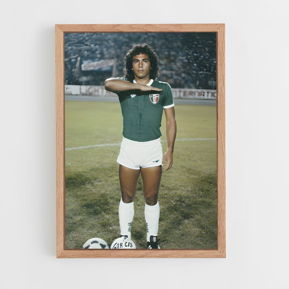 ap-hugo sanchez-3 cadre Bois clair