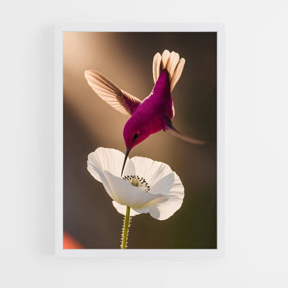 ap-hummingbird-1 cadre Blanc