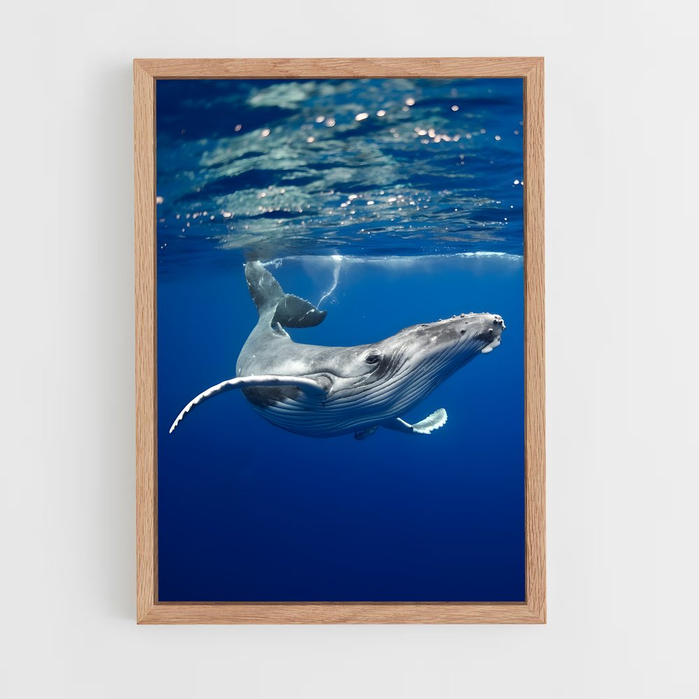 ap-humpback whale-1 cadre Bois clair