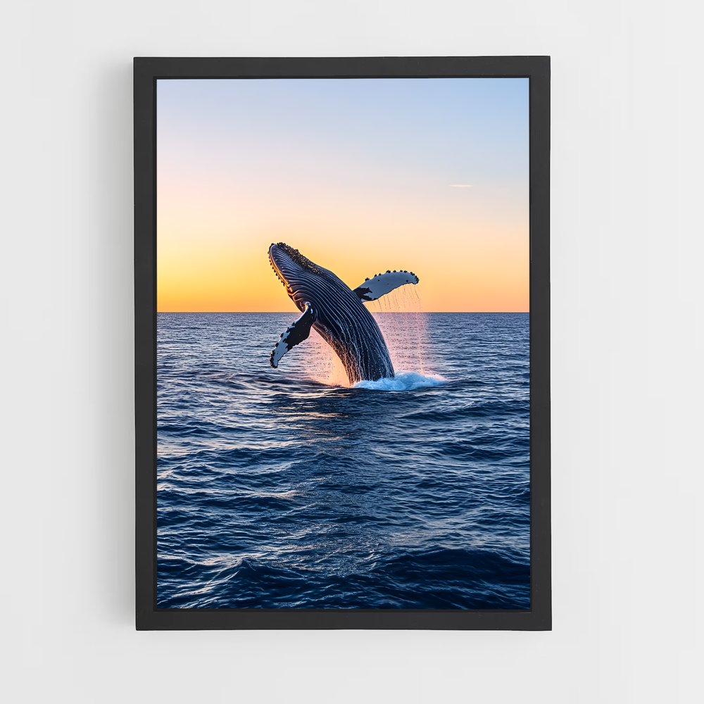 ap-humpback whale-3 cadre Noir