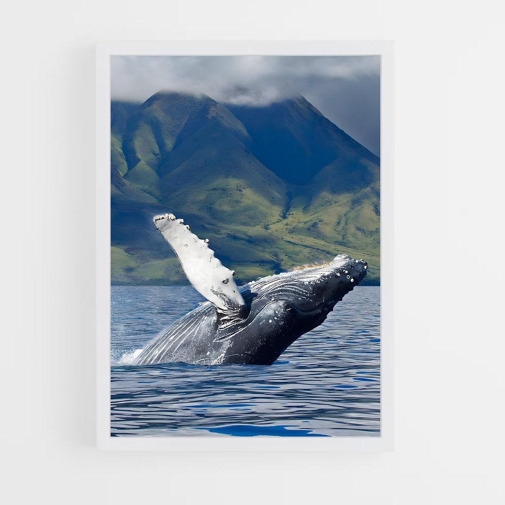 ap-humpback whale-6 cadre Blanc