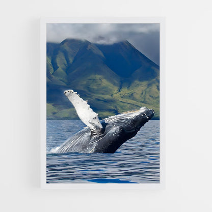 ap-humpback whale-6 cadre Blanc