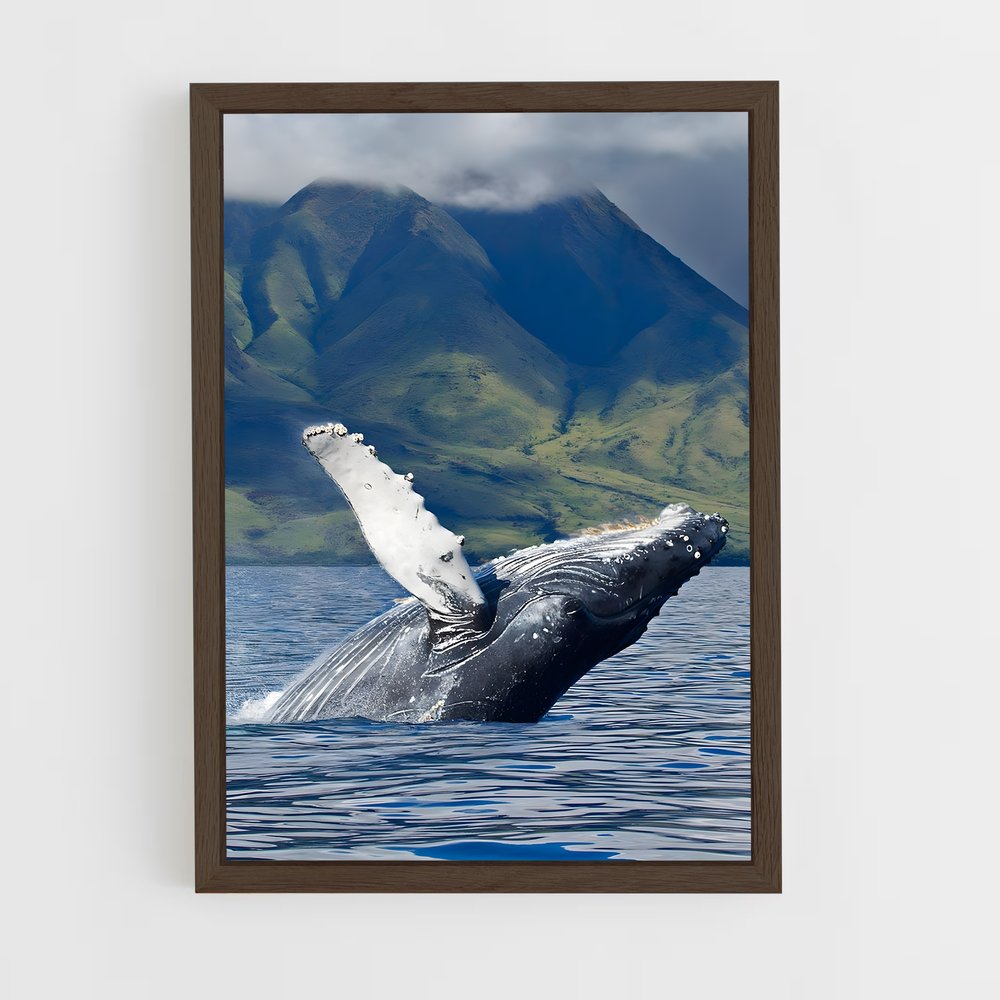 ap-humpback whale-6 cadre Bois foncé