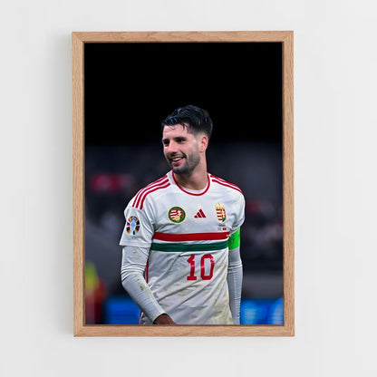 ap-hungary national football team-5 cadre Bois clair