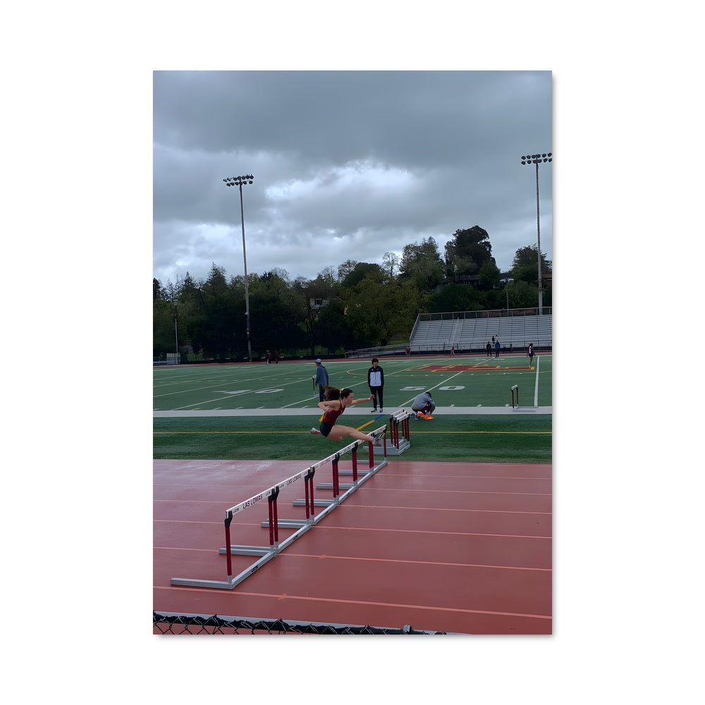 Poster Hurdles 64315