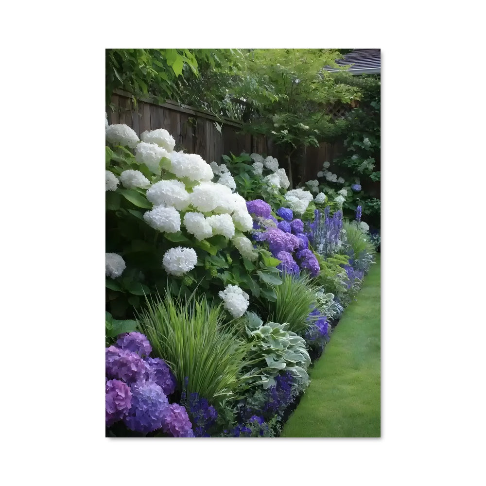 Poster Hydrangea 96599
