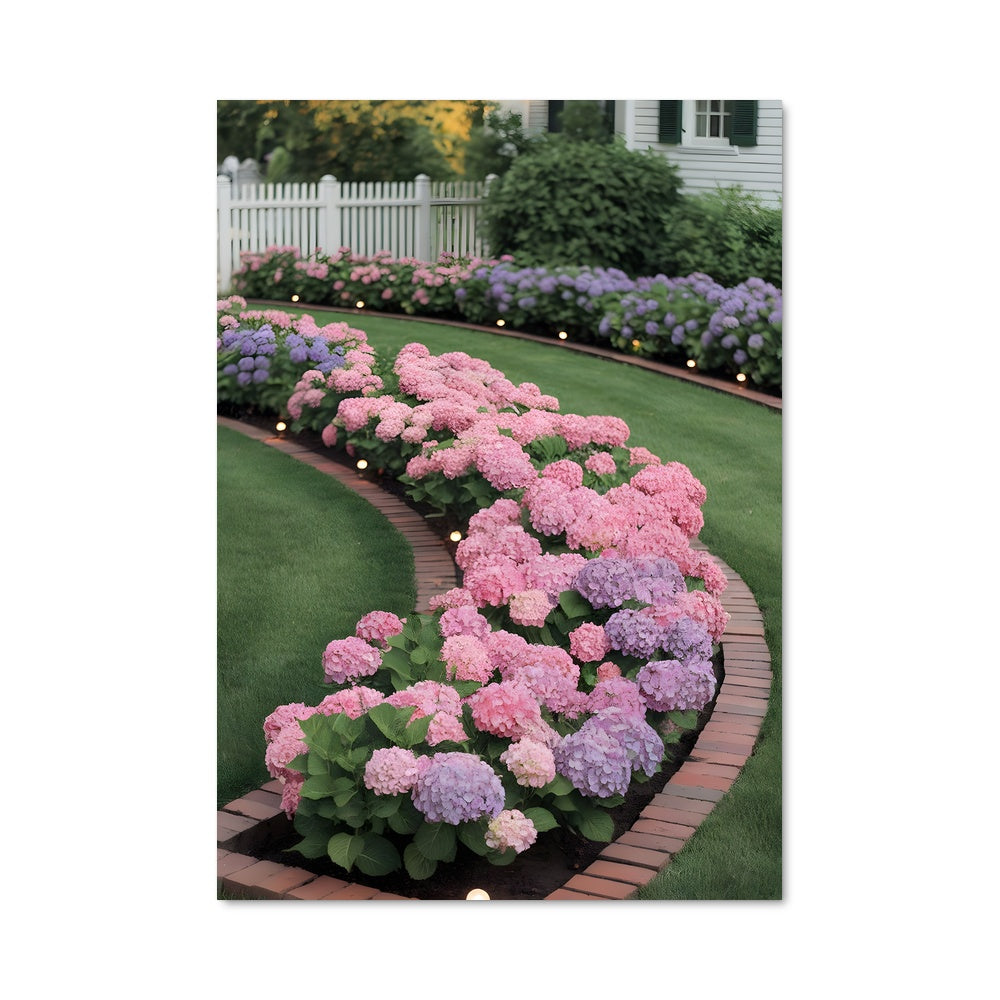 Poster Hydrangea 96595