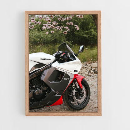 ap-hyosung-2 cadre Bois clair
