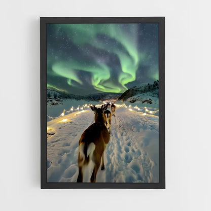 ap-iceland aurora-4 cadre Noir