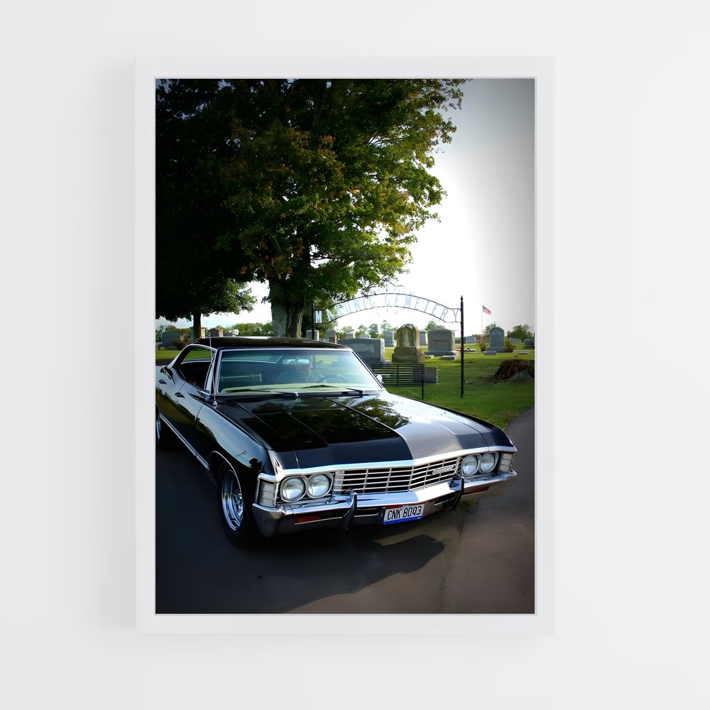 ap-impala 250-2 cadre Blanc