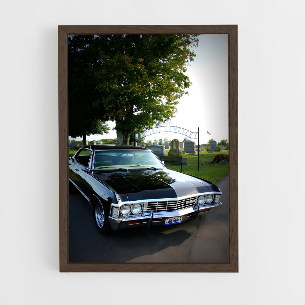 ap-impala 250-2 cadre Bois foncé