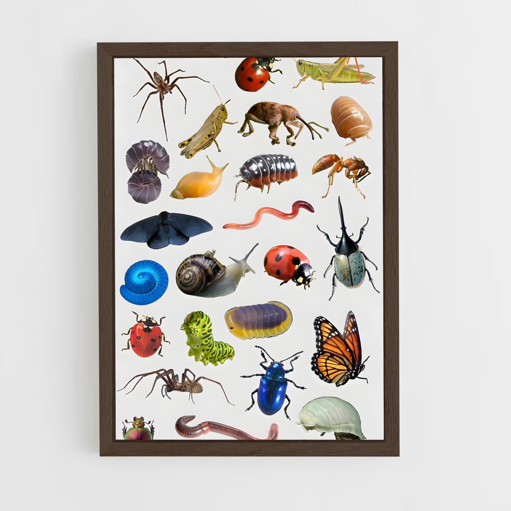 ap-insects-1 cadre Bois foncé