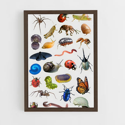ap-insects-1 cadre Bois foncé