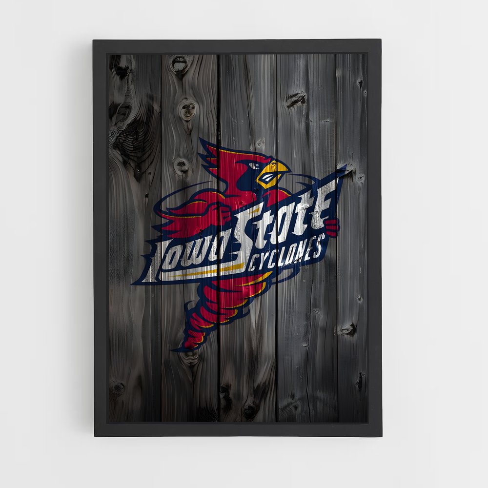 ap-iowa state cyclones-4 cadre Noir