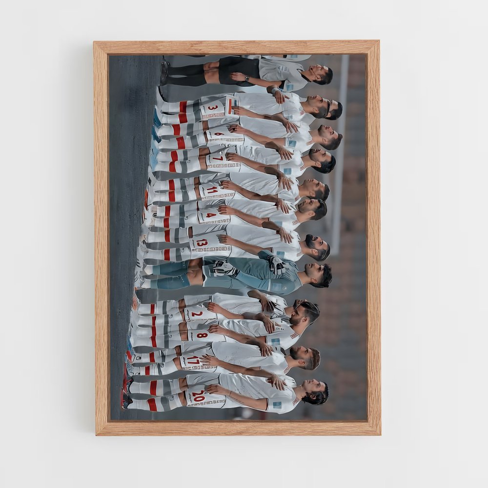 ap-iran national football team-14 cadre Bois clair