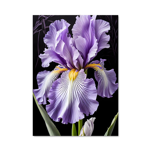 Poster Fleur de Lila