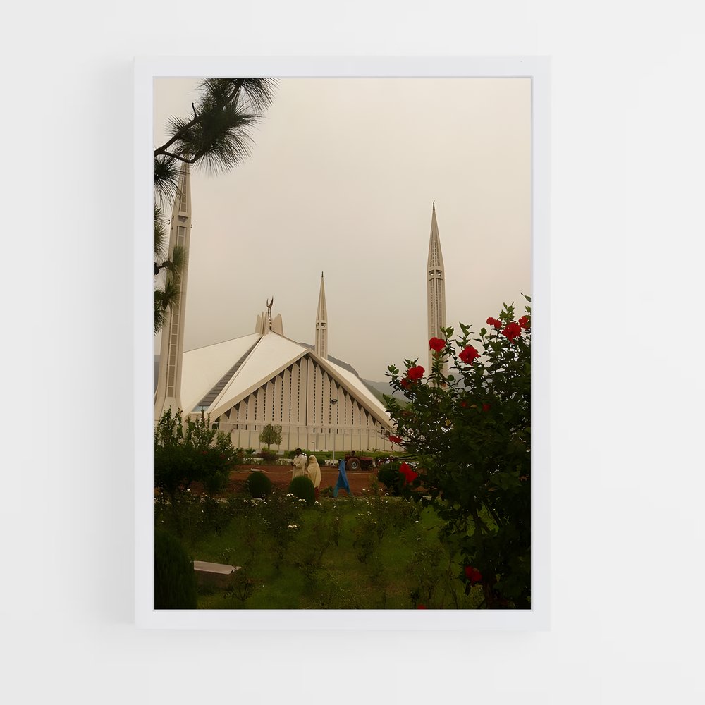 ap-islamabad-8 cadre Blanc