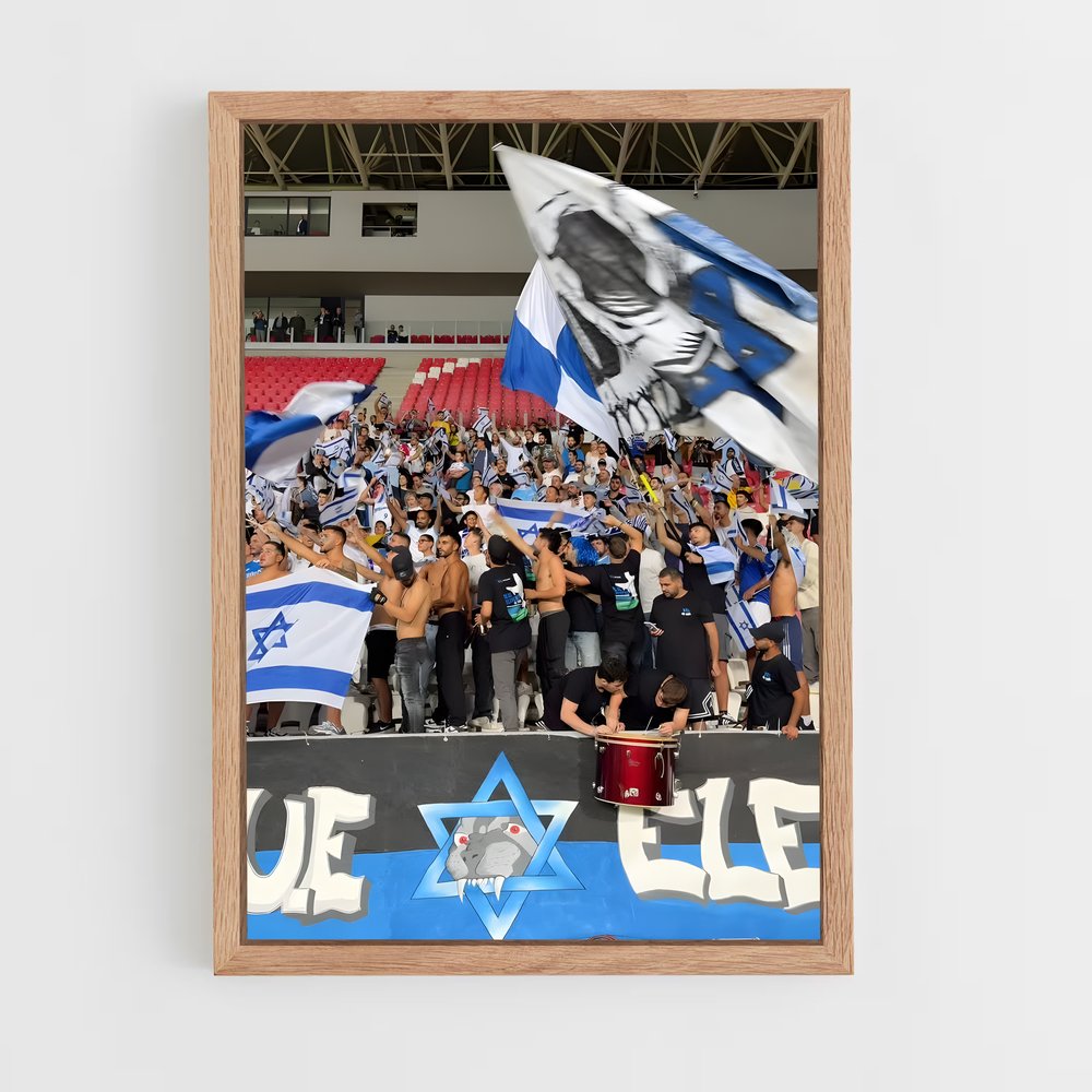 ap-israel national football team-3 cadre Bois clair
