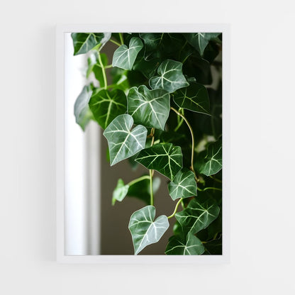 ap-ivy-1 cadre Blanc