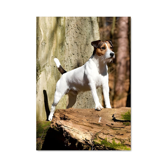 Poster Au Sommet des Arbres