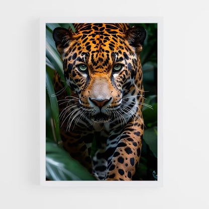 ap-jaguar-4 cadre Blanc