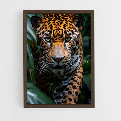 ap-jaguar-4 cadre Bois foncé