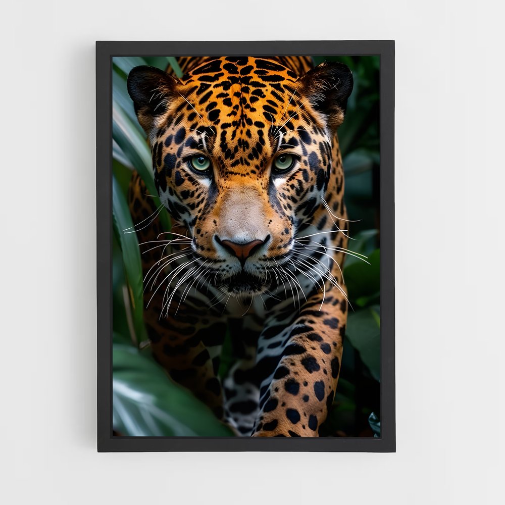 ap-jaguar-4 cadre Noir