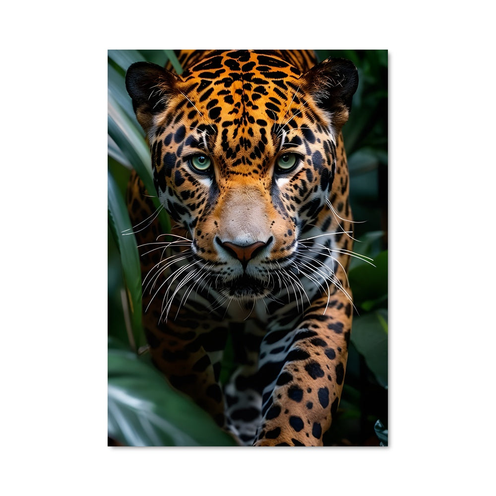 Poster Jaguar dans la Jungle