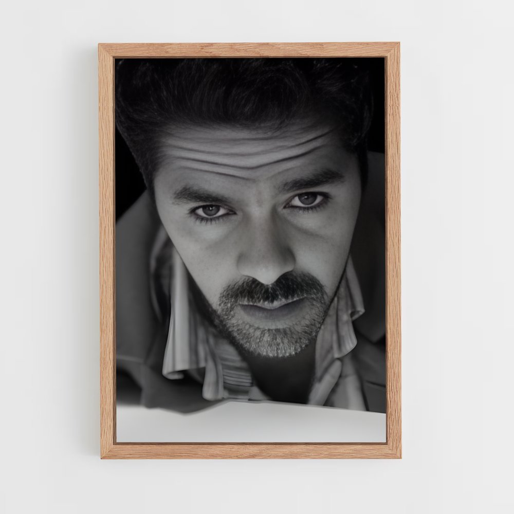 ap-jamel debbouze-4 cadre Bois clair
