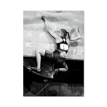 Poster Skate & Fly