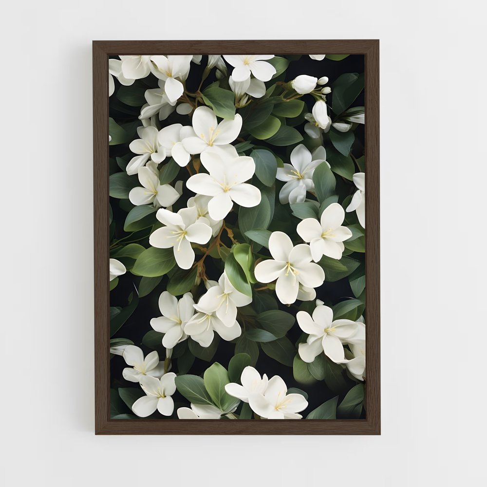 ap-jasmine-1 cadre Bois foncé