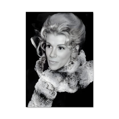 Poster Diva D'Hiver